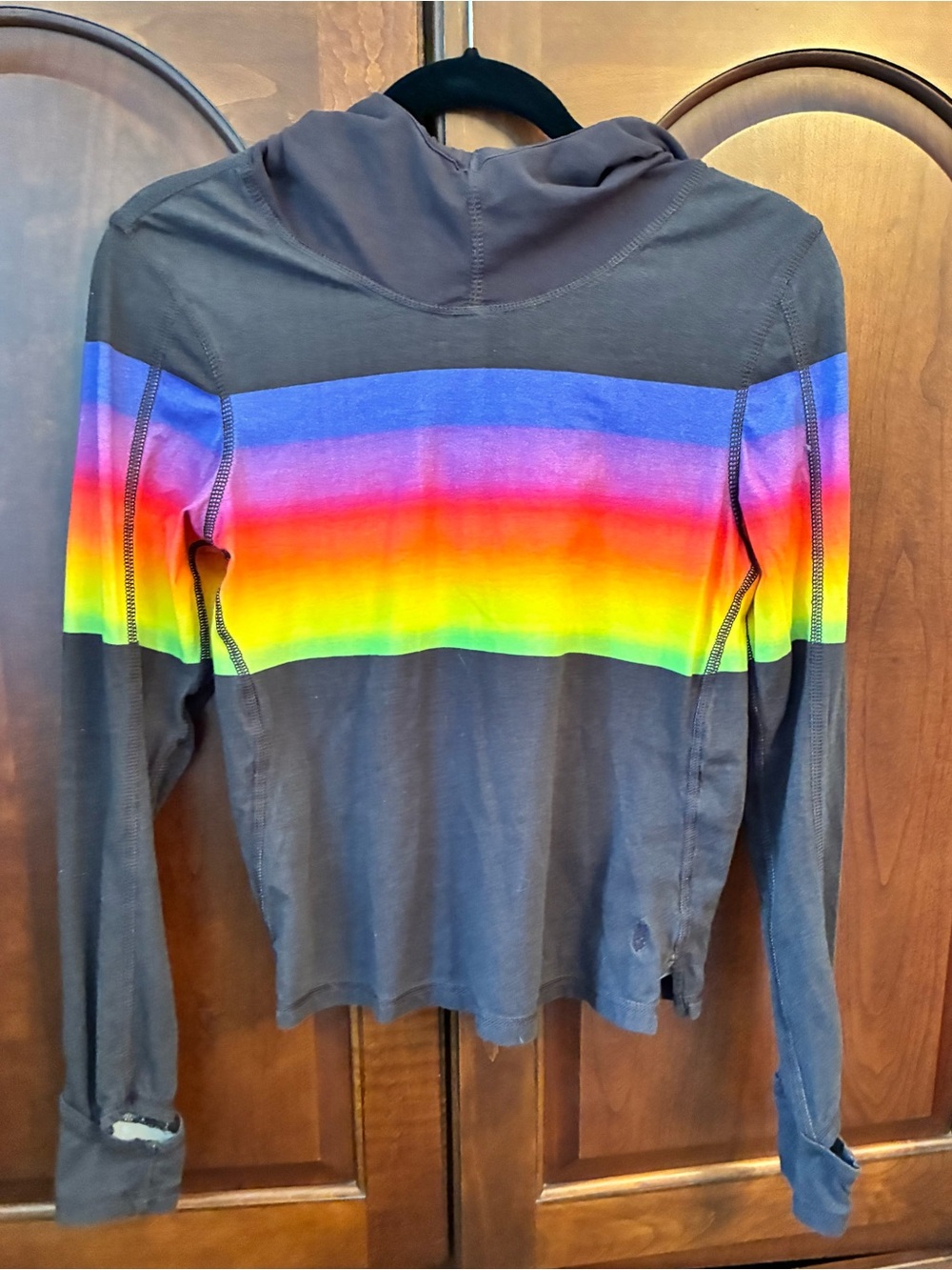 Free People Rainbow Pride Stripe Hooded Long Sleeve Top